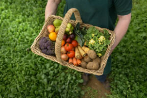 Bruselas promocionará los productos agrícolas europeos